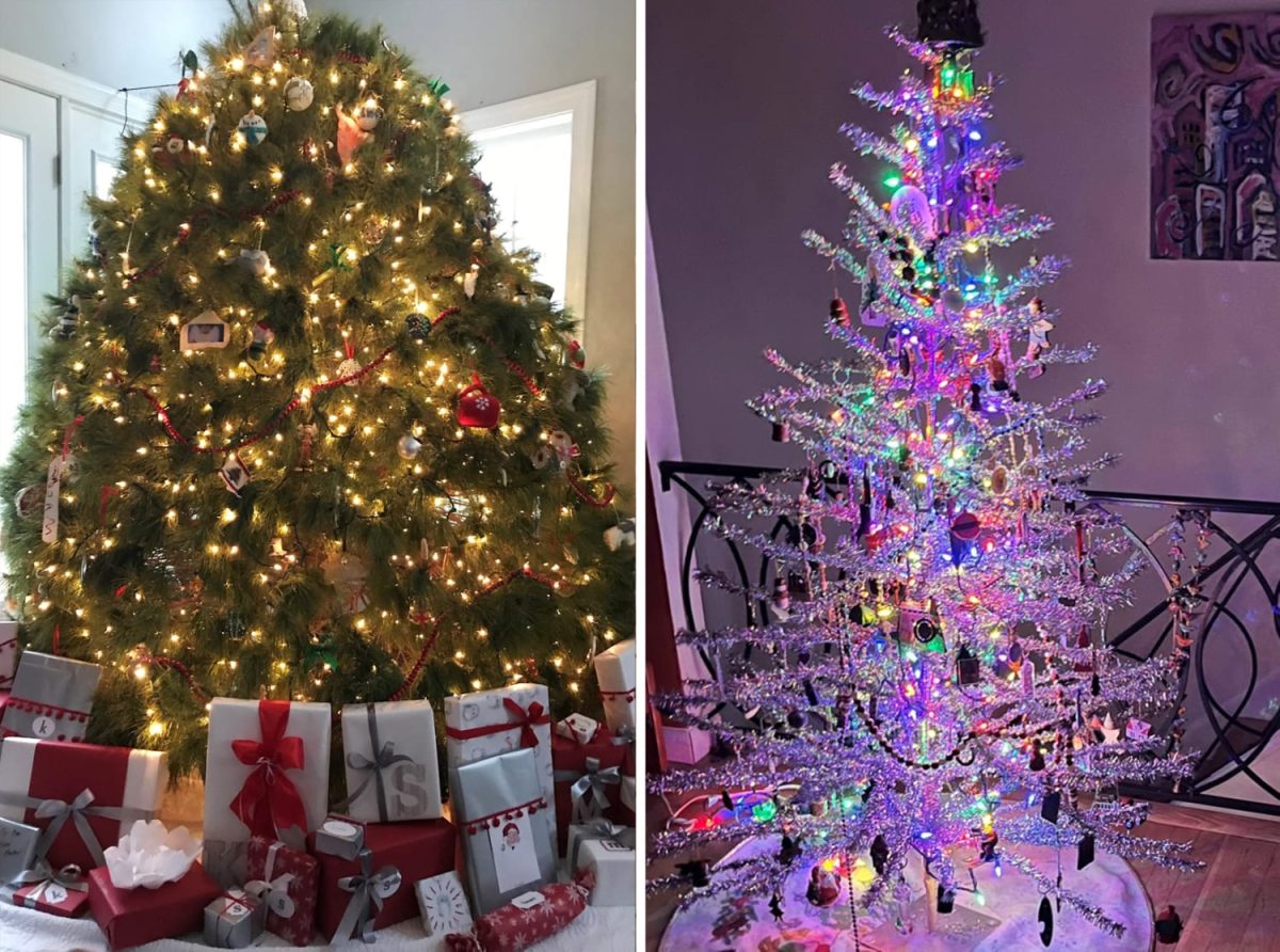 Real or Fake: Which Christmas Tree is Better?